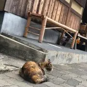 鼻の下の画像