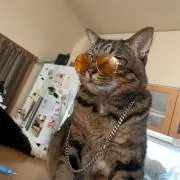 溝口きんにくんの画像