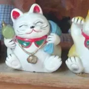 サラの画像
