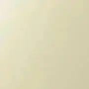 ごはんの画像