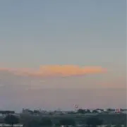すももの画像