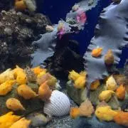 かおりん(プロフご一読願います。)