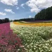 ともっちーの画像
