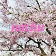 nachuの画像