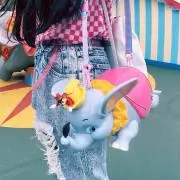 ぽむの画像