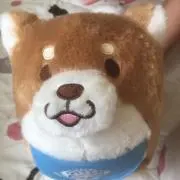 ☆ハル☆の画像