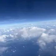 みずき