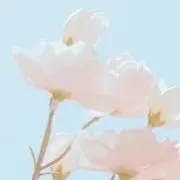 RIKOの画像