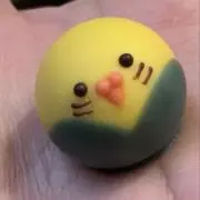 亀の画像