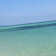 たの画像