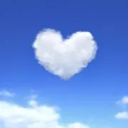 うさの画像