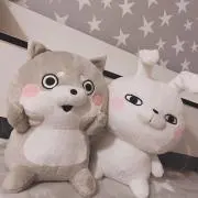 わんさん
