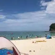 mstの画像