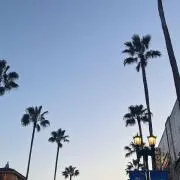 ☆の画像