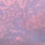 :*+麦茶.:+ プロフ必読の画像