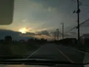 ごかぼーの画像