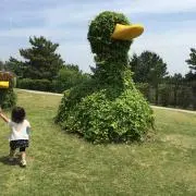 ずも