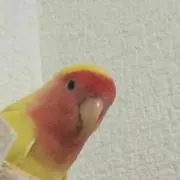 なかん