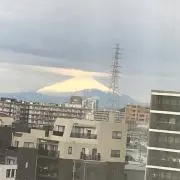 りんりんの画像