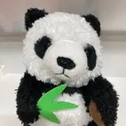Sasaの画像