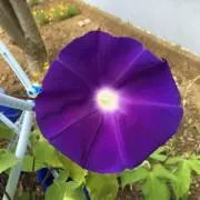 ☆もっちゃん☆
