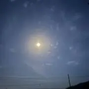 きのこの画像