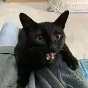 てつ母