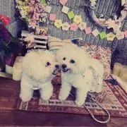 ちゃろこ