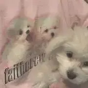 くりむの画像