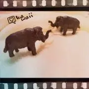 skskの画像