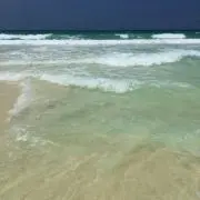 リョウヘイの画像