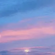 そらくまの画像