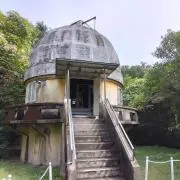 あんずの画像