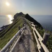 ケイ