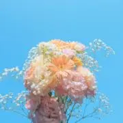 ぶなしめじ@6／26発送の画像