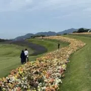 ポリペプチド