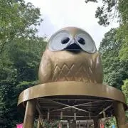 Kota