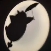 かいぽんの画像
