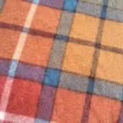 なすびの画像