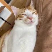 ユウタ