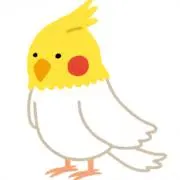コザクラインコの画像