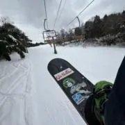 Udon