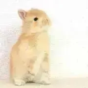 みー★プロフ必読！！の画像