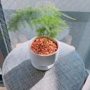 kekeの画像