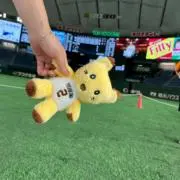 あの画像
