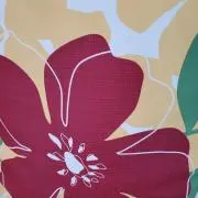 Sanaeの画像