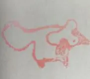 ようこ　プロフ、読んでくださいの画像