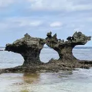 しゃもじの画像