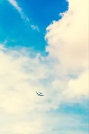 Meviの画像