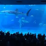 とも